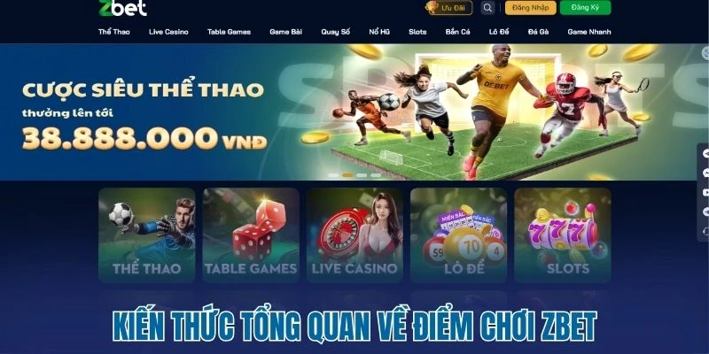 ZBET - Hệ Thống Cá Cược Dành Cho Người Thích Bứt Tốc 1 Kiến thức tổng quan về điểm chơi ZBET