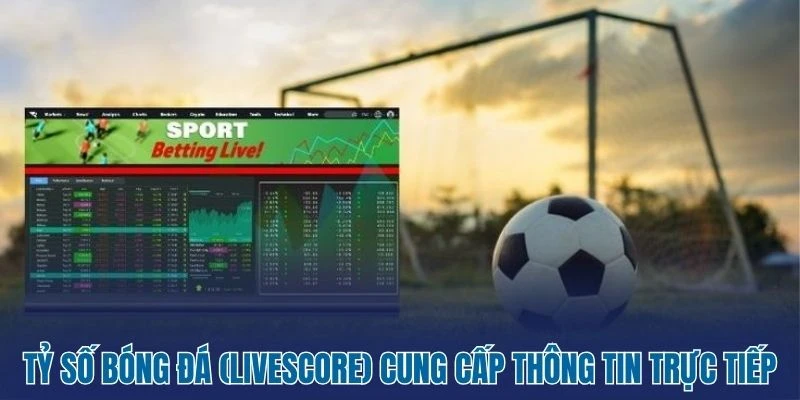 Tỷ số bóng đá (livescore) cung cấp thông tin trực tiếp