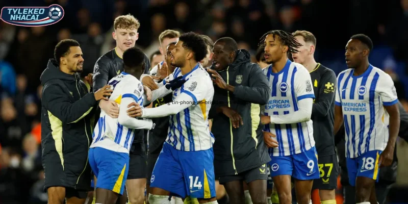 Tỷ Lệ Kèo Brighton Vs Everton Hôm Nay Ngày 31/01/2026 - Ngoại Hạng Anh 1 Thông tin, phong độ Brighton vs Everton