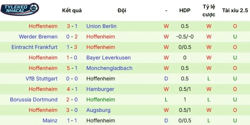 Kèo Nhà Cái Bayern Vs Hoffenheim Hôm Nay Ngày 08/02/2026 - Bundesliga 4 Thể hiện phong độ Hoffenheim hiện tại